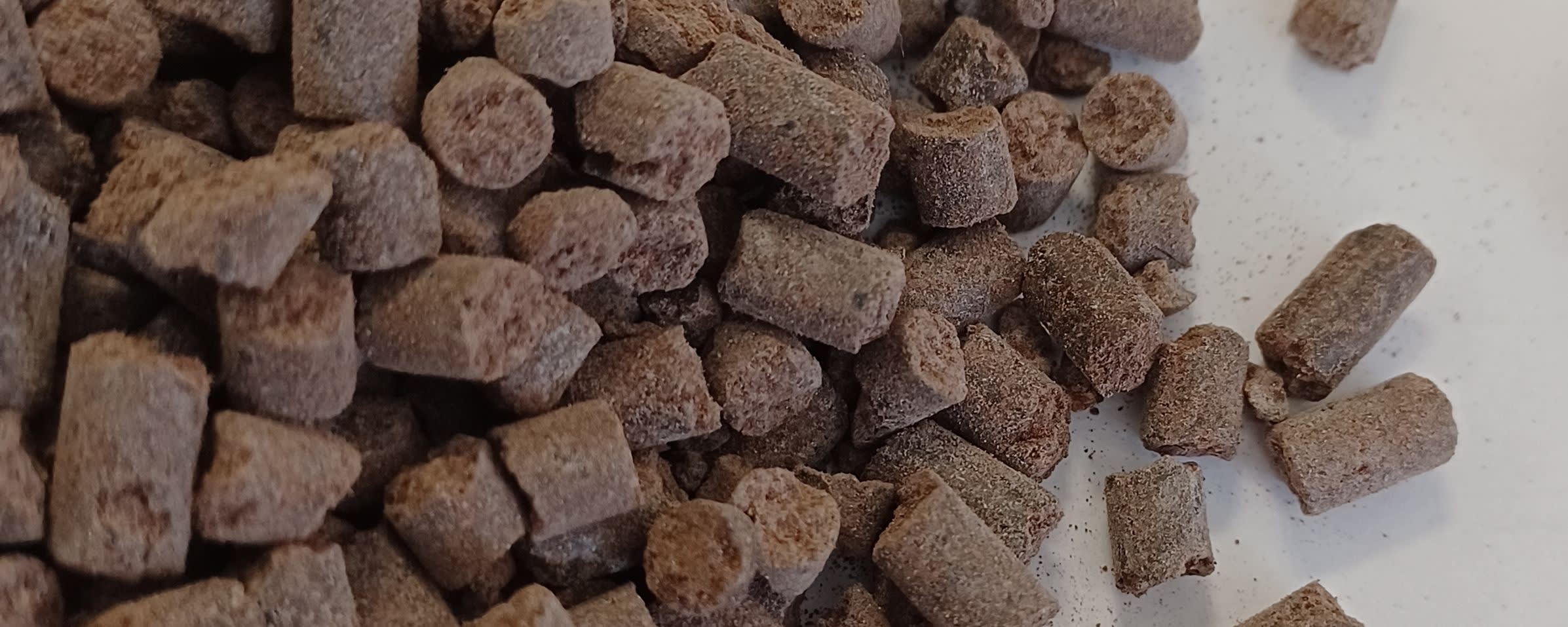 JS Defatted Cocoa Expeller Cake banner