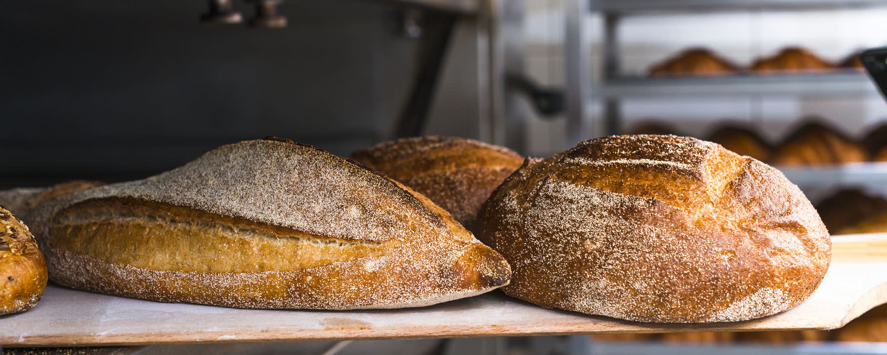 Ailazyme® GOX banner