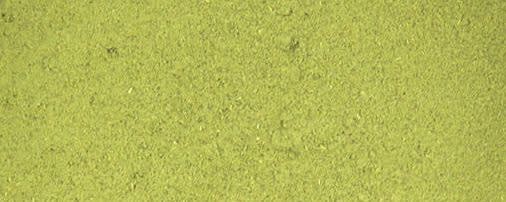 Thyme Herb Powder banner