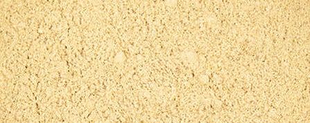 Dandelion Root Powder banner