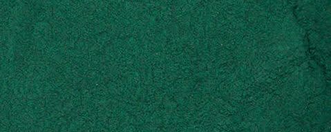 Spirulina Algae Powder banner
