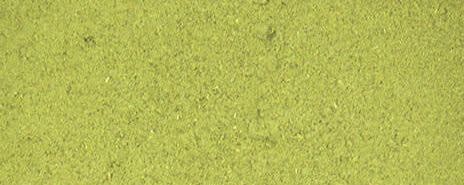 Oregano Powder banner