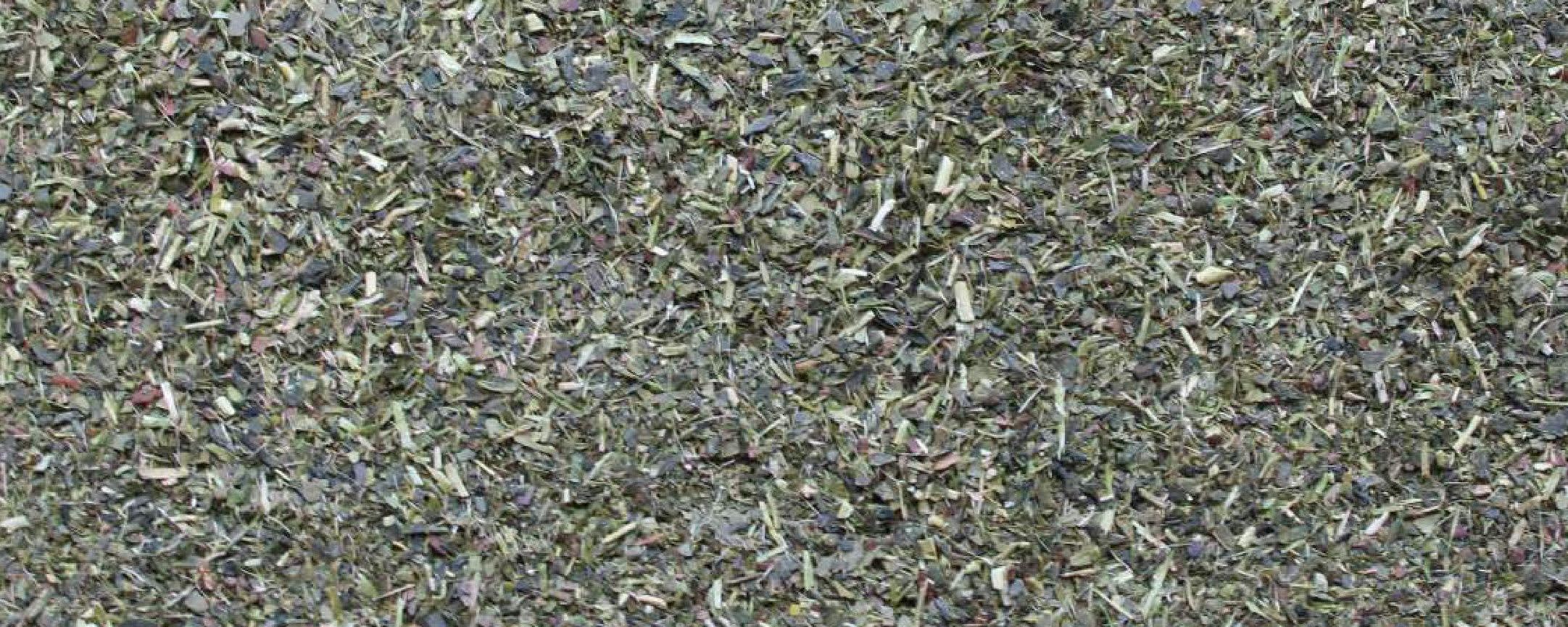 Sugimoto Tea Organic Sencha Fanning banner