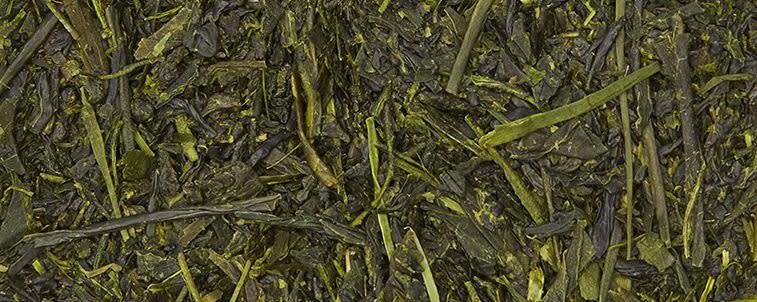 Sugimoto Tea Sencha Fukamushi banner