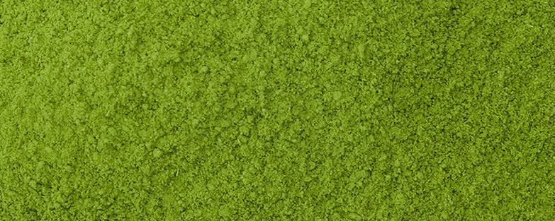 Sugimoto Tea Organic Matcha A banner