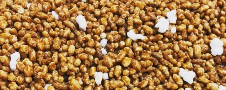 Sugimoto Tea Organic Genmai (Brown Rice) banner