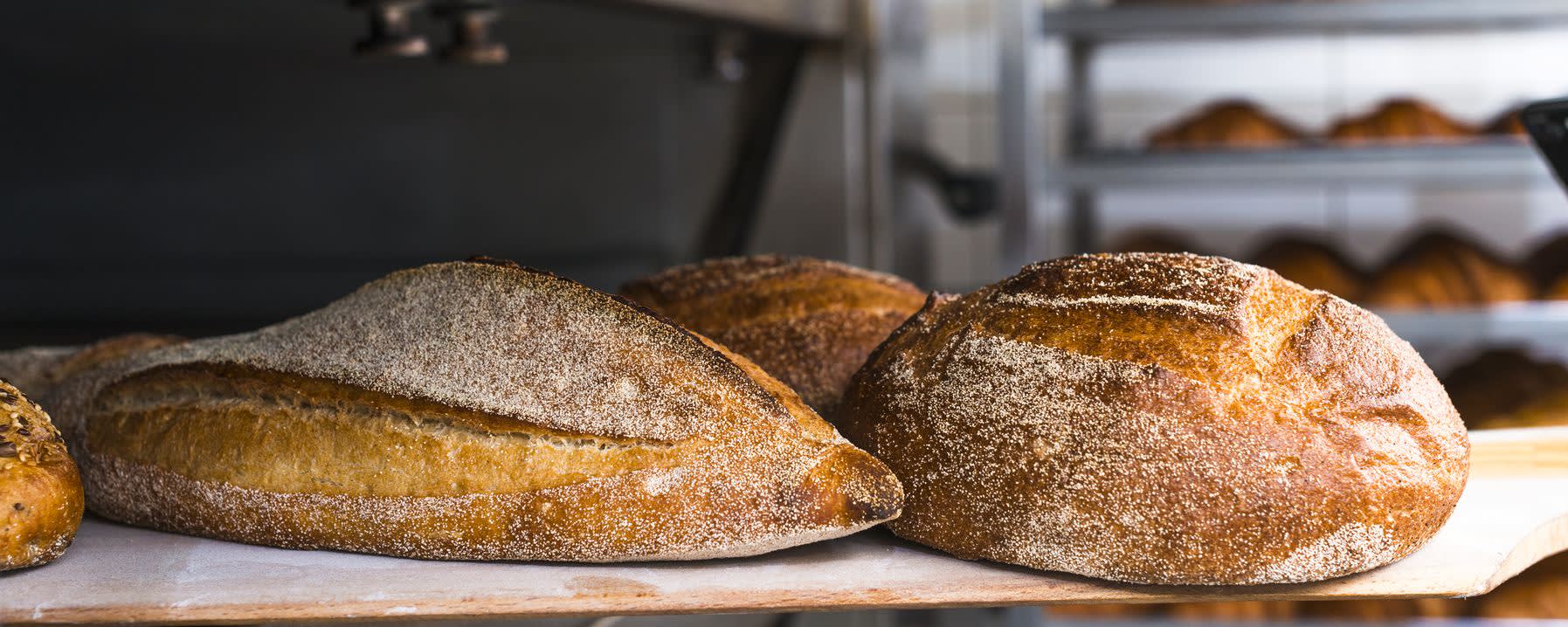 Ailazyme® AL-neo banner