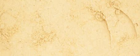 Ginger Root Powder banner