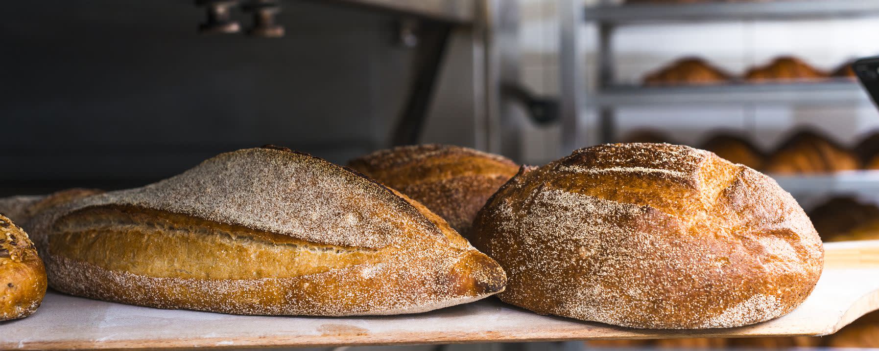 Ailazyme® AG banner