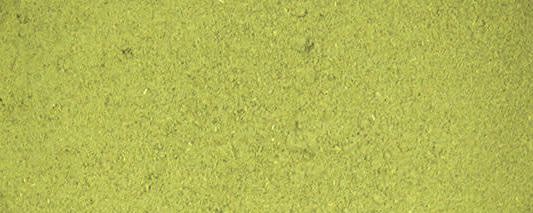 Barley Leaf Powder (Organic) banner