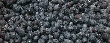 Cherry Central IQF Frozen Blueberries, Cultivated (FP02-01) banner