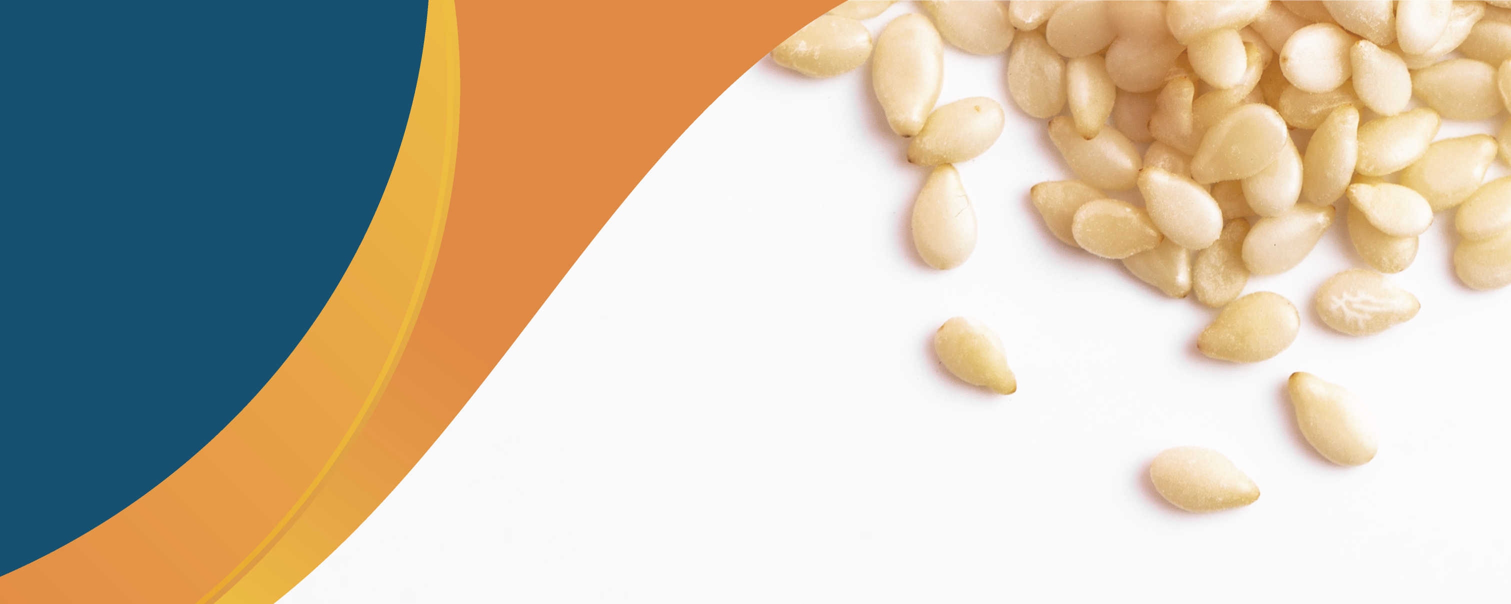 KALUSTYAN Sesame Seeds Hulled banner