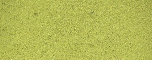 Basil Herb Powder banner