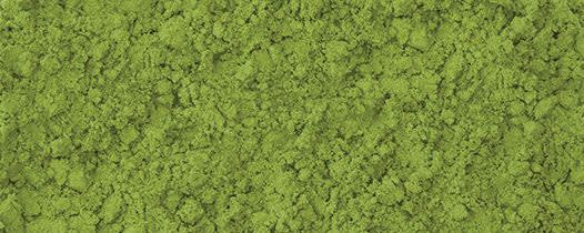 Sugimoto Tea Organic Matcha B banner
