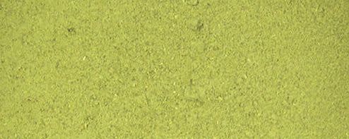 Alfalfa Herb Powder banner