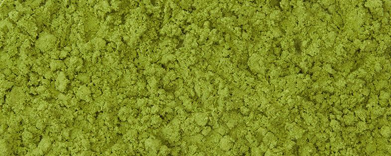 Sugimoto Tea Sencha Powder banner