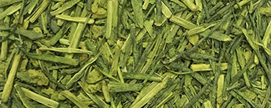 Sugimoto Tea Yuzu Matcha Kukicha banner