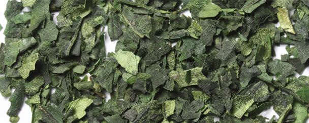 Sugimoto Tea Tencha banner