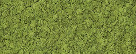 Sugimoto Tea Matcha B2 banner