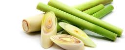 Lemongrass Oil (Flexuosus) banner
