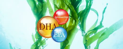 AlgaRED™ Vegetarian Krill Oil Powder banner
