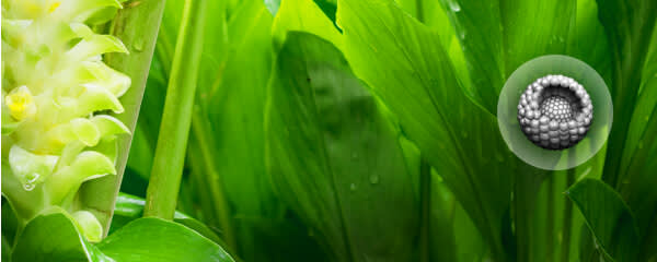 NovaSOL® SUSTAIN banner