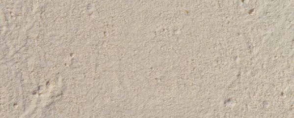 IMAG Organics Organic Aloe Vera Powder 100X banner