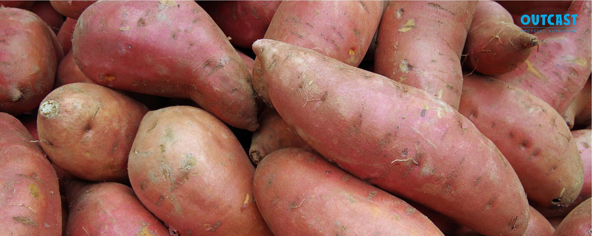 Outcast Foods Dehydrated Sweet Potatoes banner