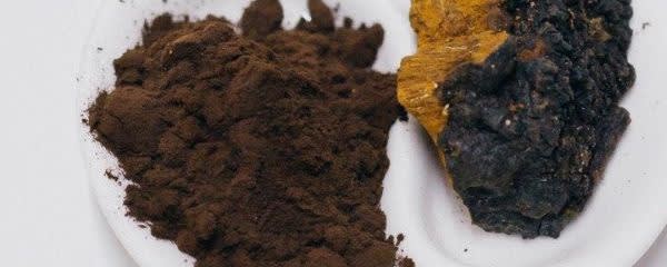 Vitaforest Chaga Mushroom Native Dry Extract banner