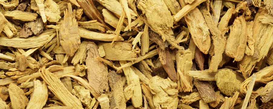 Naturex BARBERRY BARK / ROOT-BARK PE 6% BERBERINE (EC847327) banner