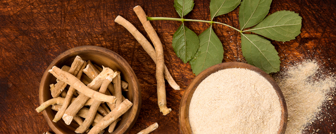 Shoden® Ashwagandha banner