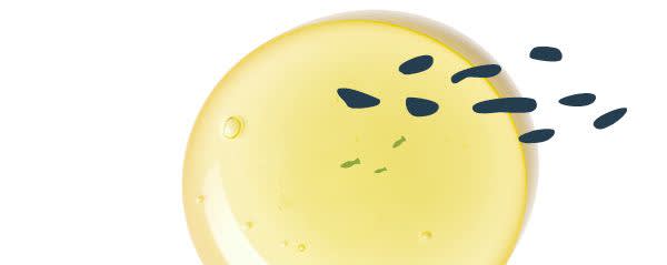 Algarithm Ingredients banner