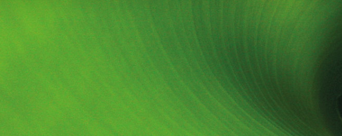 IrisECO YELLOW ORANGE (49) banner