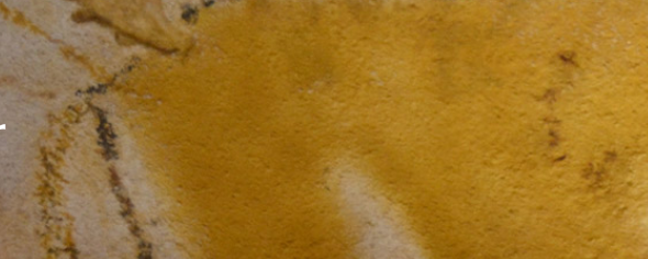 IrisColor EXTERIOR YELLOW (ER) banner