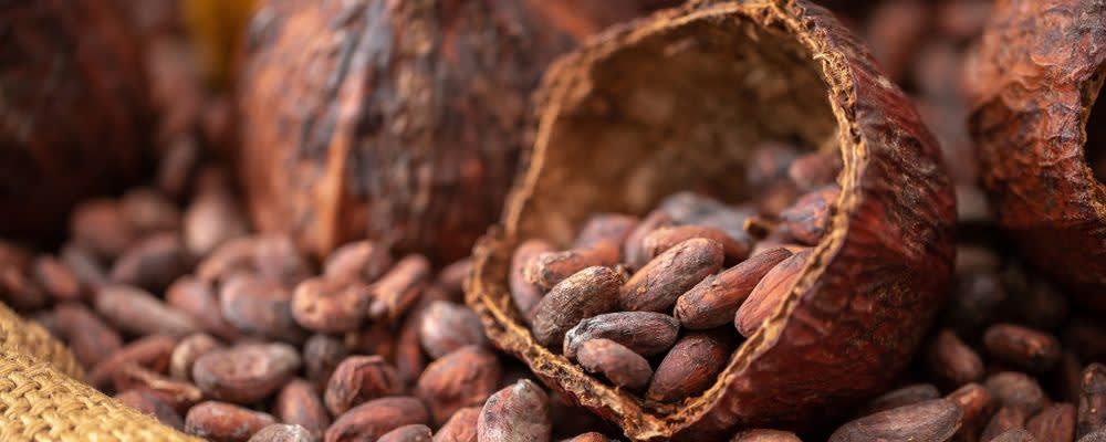 Naturex Cocoa Solid Extract (AC321250) banner