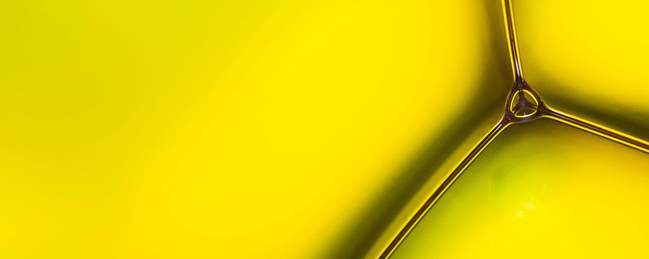 Metarom Yellow Color Natural (MTA00410) banner