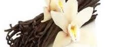 Lemur International Inc Organic Vanilla Extract - 2 Fold (LM1202) banner