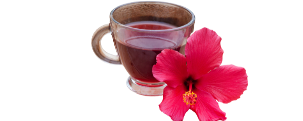 Imbibe Natural Hibiscus Flavor WONF (230093) banner