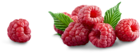 Imbibe Natural Raspberry Flavor WONF (230144) banner