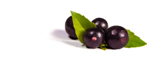Imbibe Natural Acai Type Flavor (230001) banner