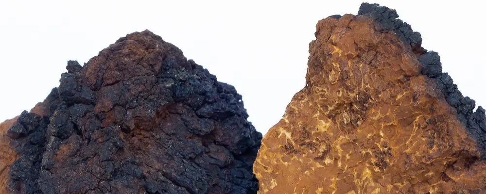 RealChaga banner