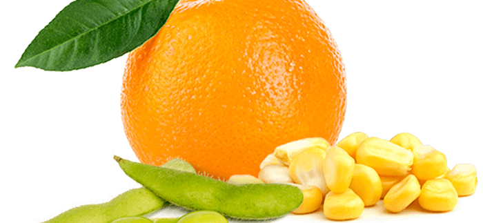 VertecBio™ ELSOL® TR banner