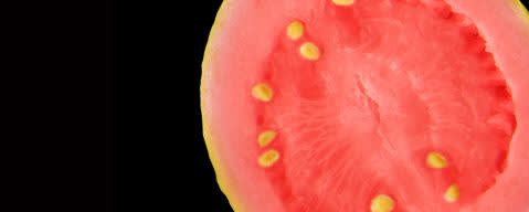 PRIMETIME Nat Guava Flavor WONF (BD-10793) banner