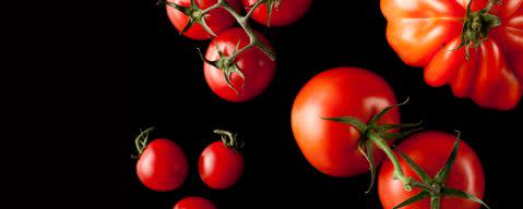 PRIMETIME Nat Tomato (fire roasted) Flavor WONF (BD-10902) banner