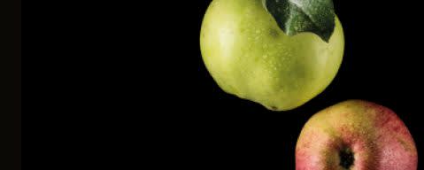PRIMETIME Nat Apple Flavor WONF, Baked Type (BD-10674) banner