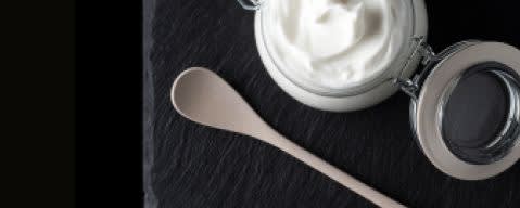 PRIMETIME Nat Sour Cream Flavor Type (BD-10341) banner