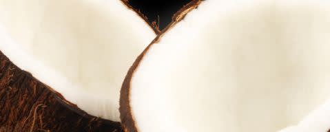 PRIMETIME Nat Coconut (toasted) Flavor WONF (BD-10456) banner