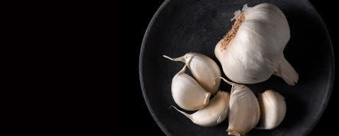 PRIMETIME Nat Garlic (toasted) Flavor WONF (BD-10782) banner