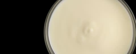 PRIMETIME EverFresh 101 Nat Dairy Flavor Type (BD-10954) banner