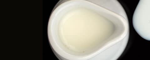 PRIMETIME Nat Buttermilk Flavor WONF (BD-10241) banner